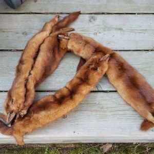 Vintage Mink Shawl